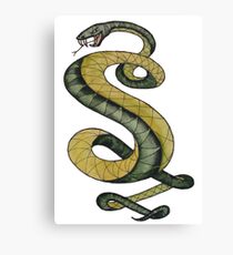 Tunnel Snakes Rule! Canvas Print