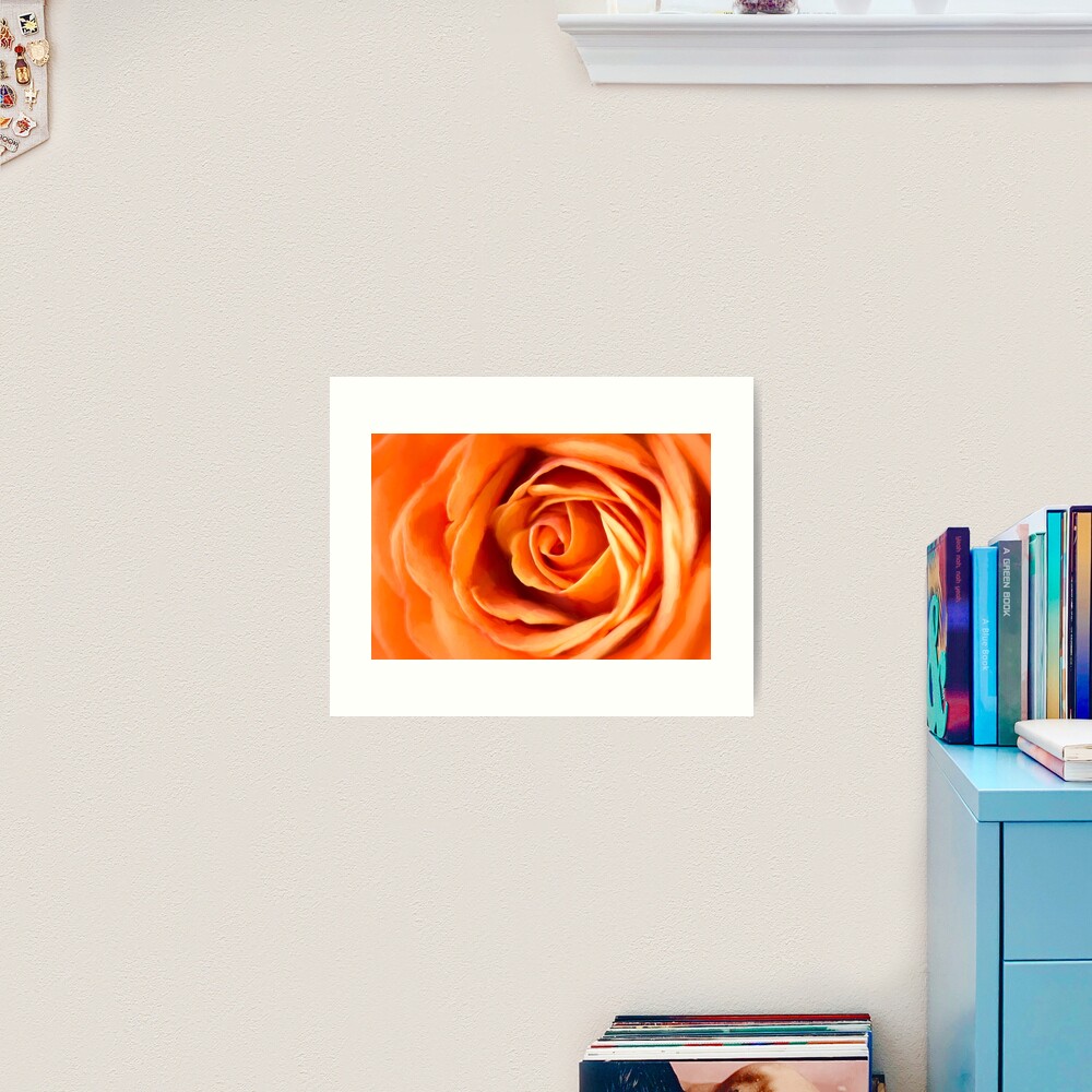 Orange Rose Art Print