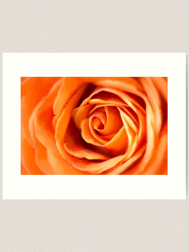 Alternate view of Orange Rose Art Print