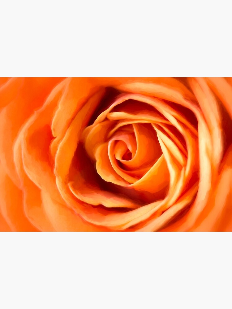Orange Rose by CindiR60