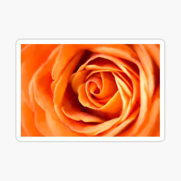 Orange Rose Sticker