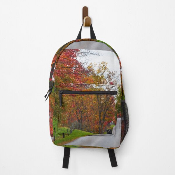 Item preview, Amish Buggy in Autumn designed and sold by mcstory.