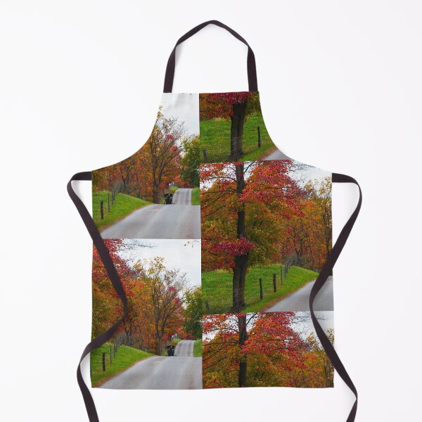 Artikelvorschau, Amish Buggy im Herbst entworfen und verkauft von mcstory.