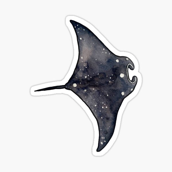 Space Ray Sticker