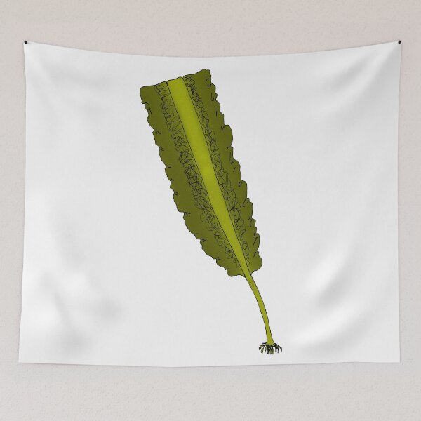 Item preview, Pleurophycus gardneri designed and sold by Stanton.