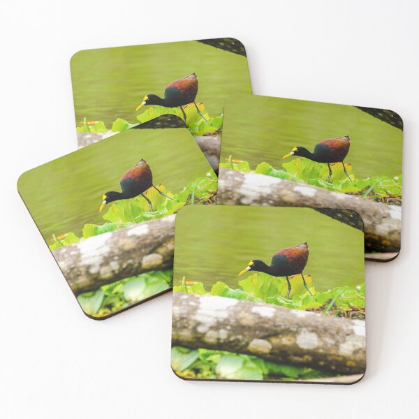 Item preview, Northern Jacana designed and sold by mcstory.