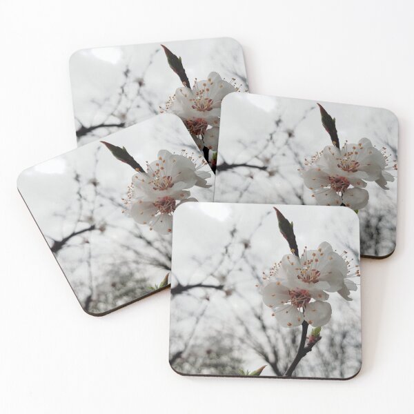 Item preview, Apricot Blossoms / Apricot Blossom designed and sold by NatureNature.