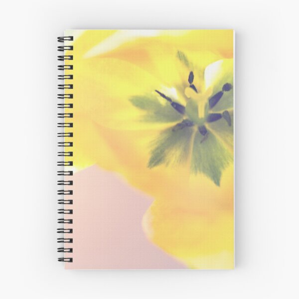 Item preview.