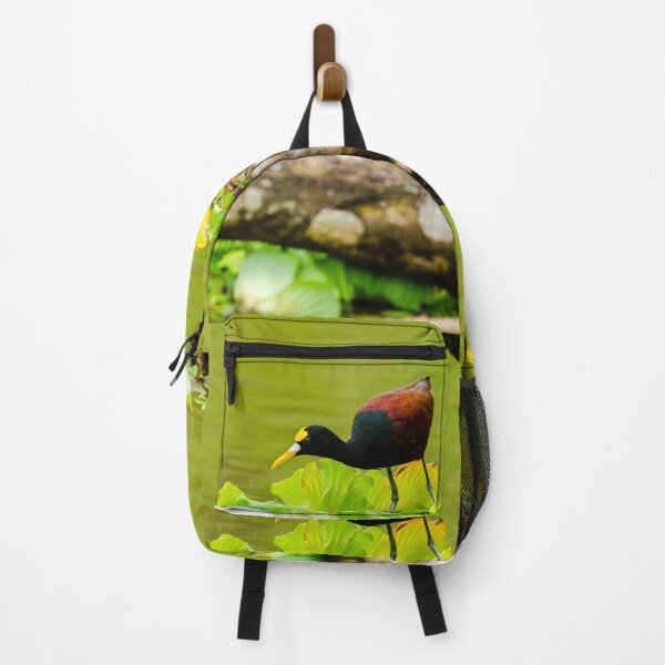 Item preview, Northern Jacana designed and sold by mcstory.