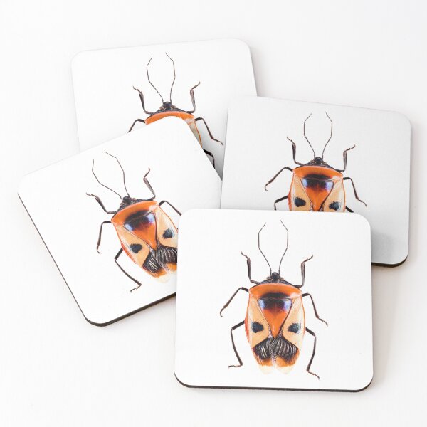 Item preview, Ixora Shield Bug (Catacanthus punctus) designed and sold by Tim Christensen.