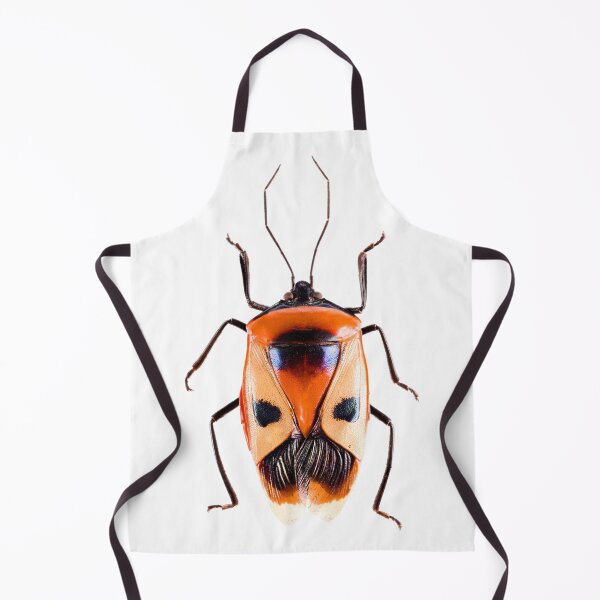 Item preview, Ixora Shield Bug (Catacanthus punctus) designed and sold by Tim Christensen.