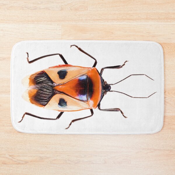 Item preview, Ixora Shield Bug (Catacanthus punctus) designed and sold by Tim Christensen.