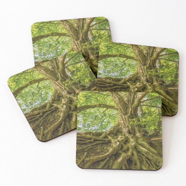 Item preview, Trees, autumn leaves, autumn trees, falling leaves, autumn, fall, nature, September, nature, halloween, forest, leaves, red, yellow, orange, designed and sold by prteacool.