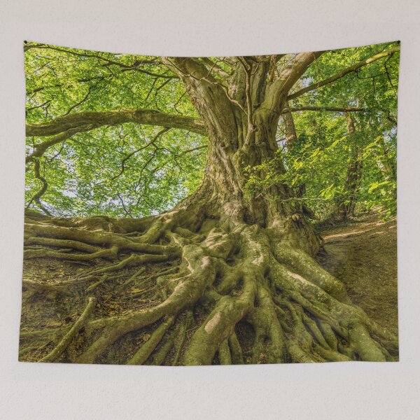 Item preview, Trees, autumn leaves, autumn trees, falling leaves, autumn, fall, nature, September, nature, halloween, forest, leaves, red, yellow, orange, designed and sold by prteacool.