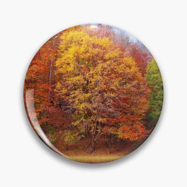 Artikelvorschau, Bäume, Herbstlaub, Herbstbäume, fallende Blätter, Herbst, Herbst, Natur, September, Natur, Halloween, Wald, Blätter, rot, gelb, orange, entworfen und verkauft von prteacool.