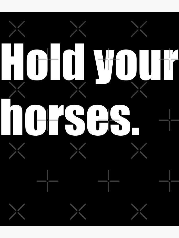 hold-your-horses-poster-for-sale-by-designsnmore-redbubble