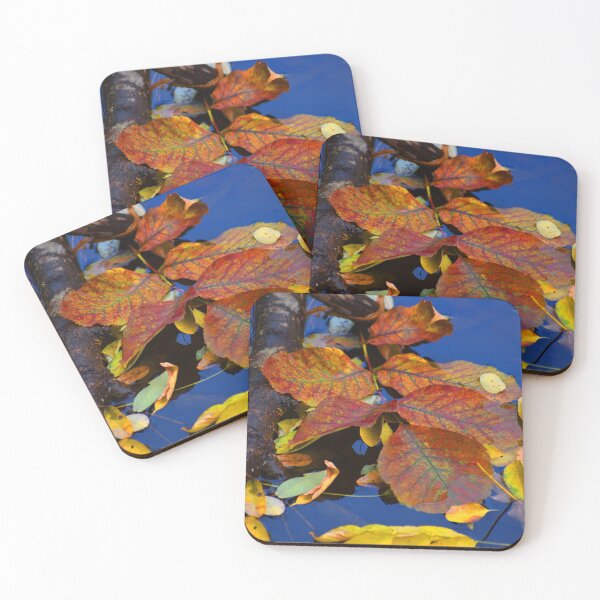 Item preview, Autumn Leaves Floating with Branch designed and sold by Puddletown Trading Company.