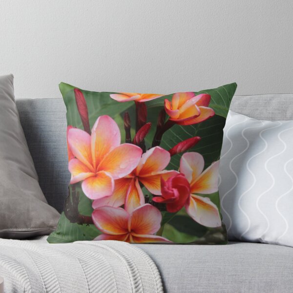 Item preview, Pink Frangipani, Lord Howe Island designed and sold by LeighBlake.
