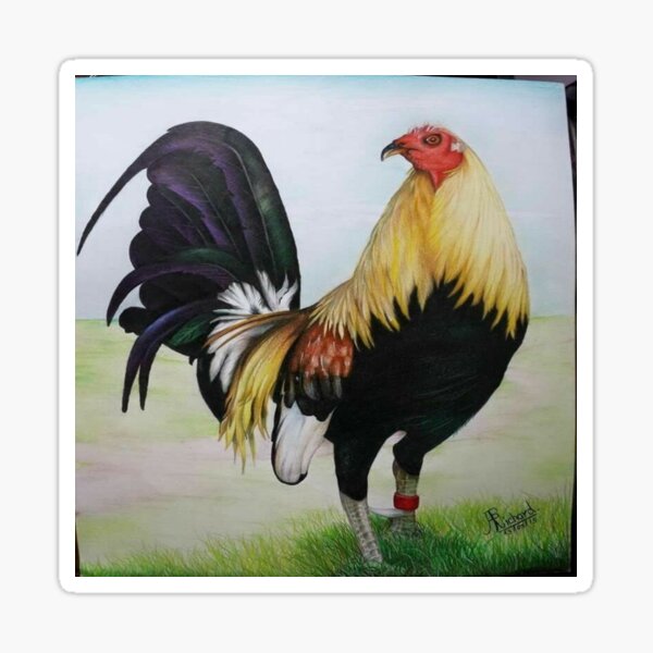 Top 64 gamefowl rooster tattoo super hot  thtantai2