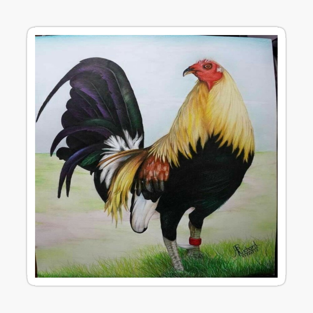 Fino. World's coolest chicken. Bearer of bad vibe proof shades : r/Bossfight