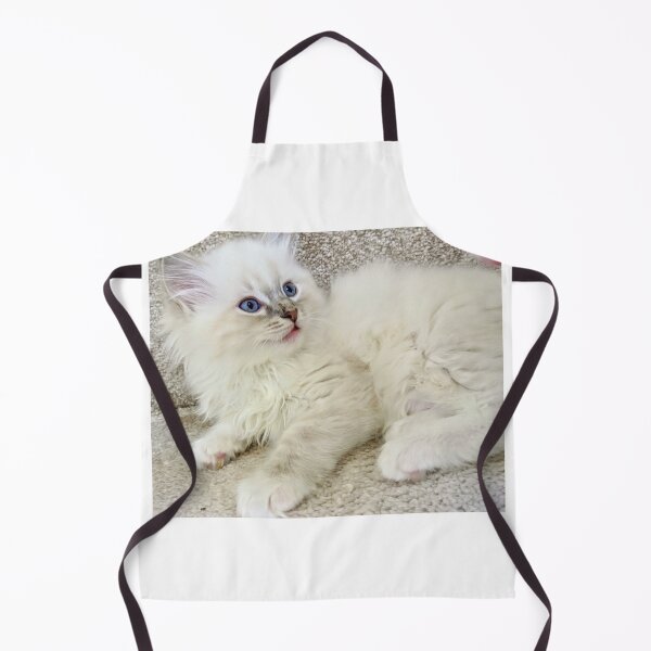 Item preview, Ragdoll kitten designed and sold by Fluffycat2020.