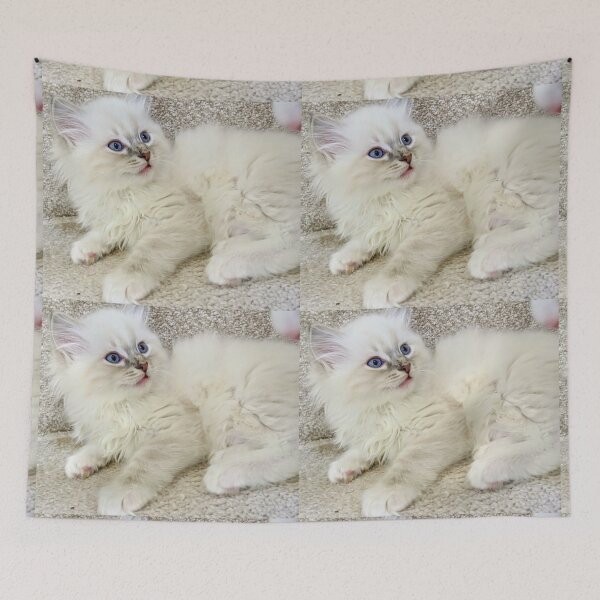 Item preview, Ragdoll kitten designed and sold by Fluffycat2020.
