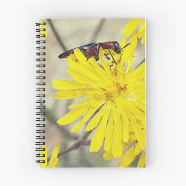 Item preview, Colorful insect on yellow dandelion flower designed and sold by NatureNature.