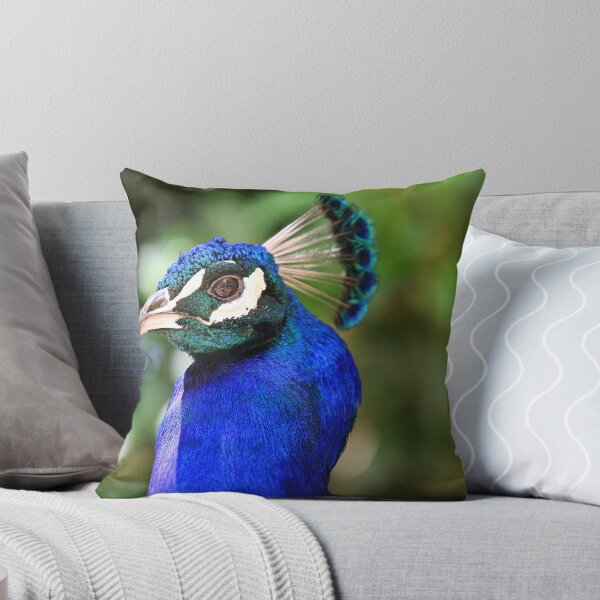 Item preview, peacock designed and sold by RosinaLamberti.