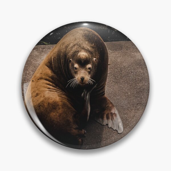 Item preview, Plotting Sea Lion designed and sold by JLPhotographer.