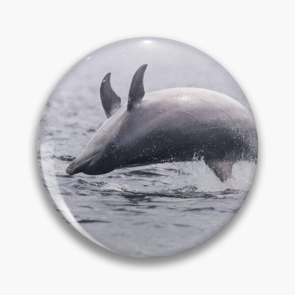 Item preview, Dolphins breaching with eyes open designed and sold by chanonry.
