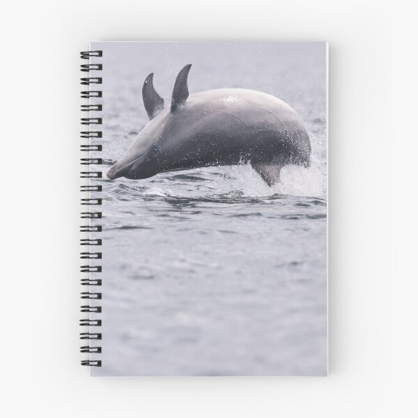 Item preview, Dolphins breaching with eyes open designed and sold by chanonry.