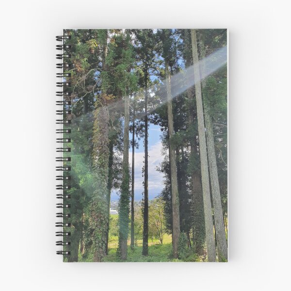 Item preview, Breathtaking Green Forest in the Peaceful Countryside near Toyama, Japan designed and sold by BeautifulJapan.