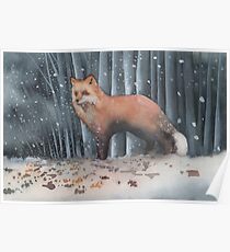 Red Fox in a Snowstorm Poster