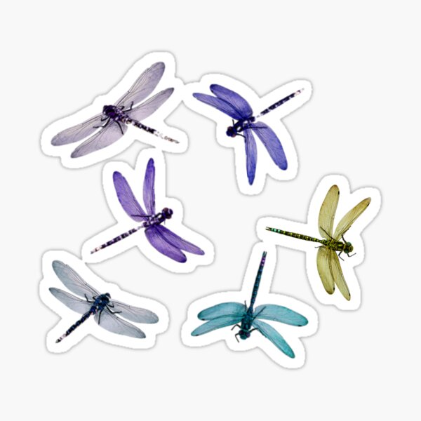 Dragonfly Dreams Vintage Themed Purple Green Blue Colorful symbol changes wisdom luck Insect Pattern co-worker gift Sticker