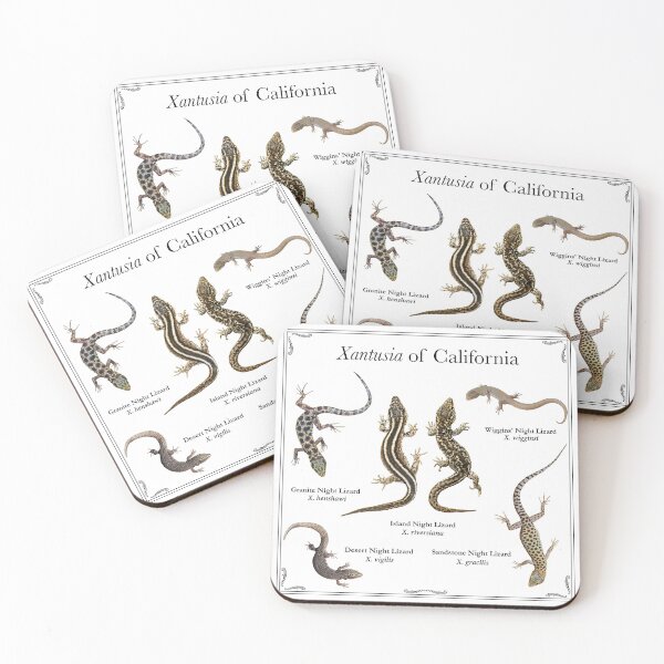 Item preview, Xantusia of California designed and sold by Crotaluszonata.