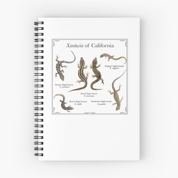 Item preview, Xantusia of California designed and sold by Crotaluszonata.