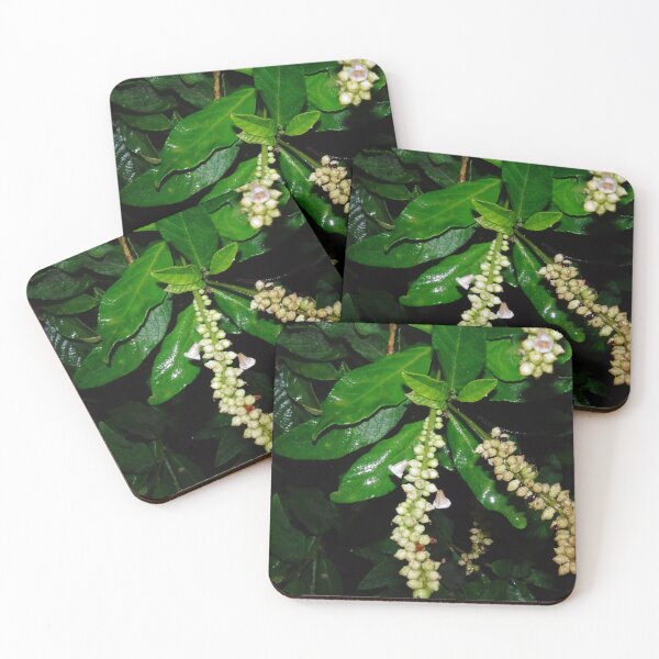 Item preview, Beautiful Tiny Bell-Shaped Plants with Rich Green Leaves_Barbados Original designed and sold by StayCuztom.