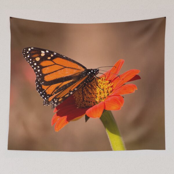 Item preview, Monarch butterfly on tithonia flower designed and sold by Zina Stromberg.