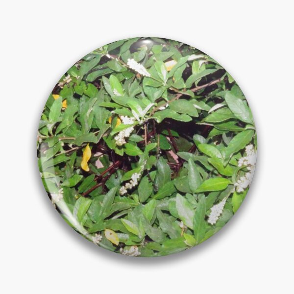 Item preview, Beautiful Tiny Bell-Shaped Plants Clusters with Rich Green Leaves_Original designed and sold by StayCuztom.