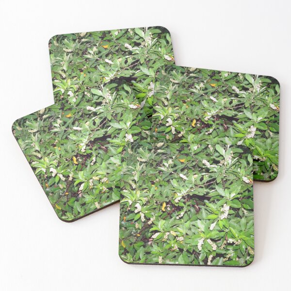 Item preview, Beautiful Tiny Bell-Shaped Plants Clusters with Rich Green Leaves_Original designed and sold by StayCuztom.