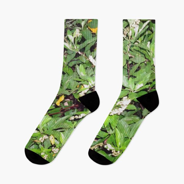 Item preview, Beautiful Tiny Bell-Shaped Plants Clusters with Rich Green Leaves_Original designed and sold by StayCuztom.