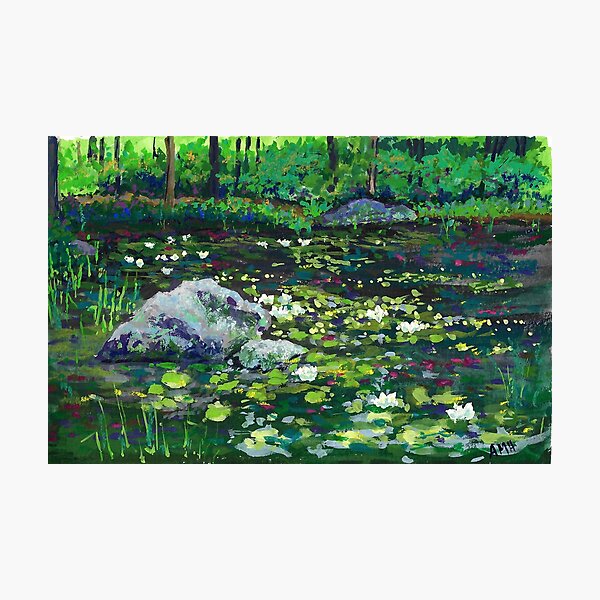 Sparkling Waterlilies Photographic Print