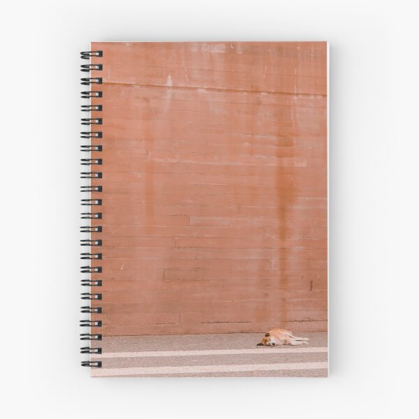 Item preview, Photography of a dog in Funchal - Madeira, Portugal designed and sold by marianaalens.