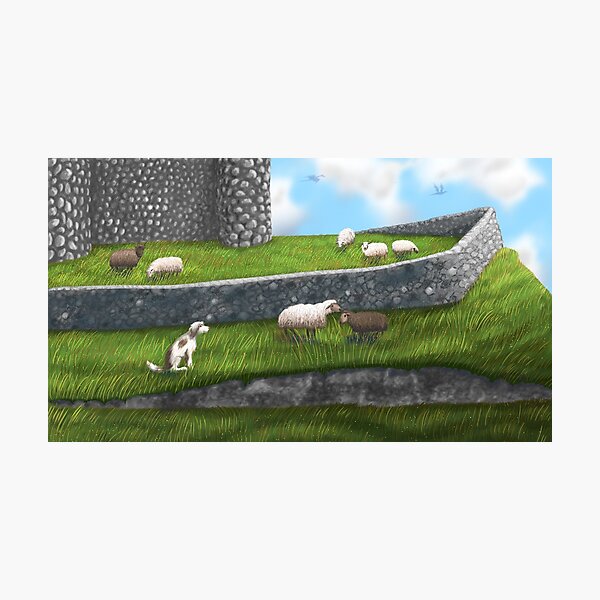 Sheep Castle Photographic Print