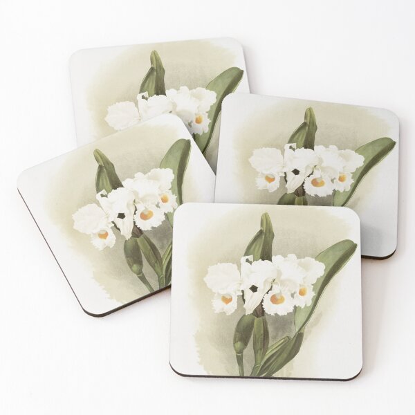 Item preview, Reichenbachia: Orchids Illustrated and Described designed and sold by EsotericBotanic.