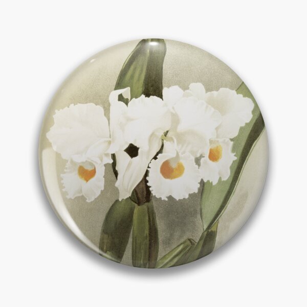 Item preview, Reichenbachia: Orchids Illustrated and Described designed and sold by EsotericBotanic.