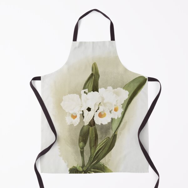 Item preview, Reichenbachia: Orchids Illustrated and Described designed and sold by EsotericBotanic.