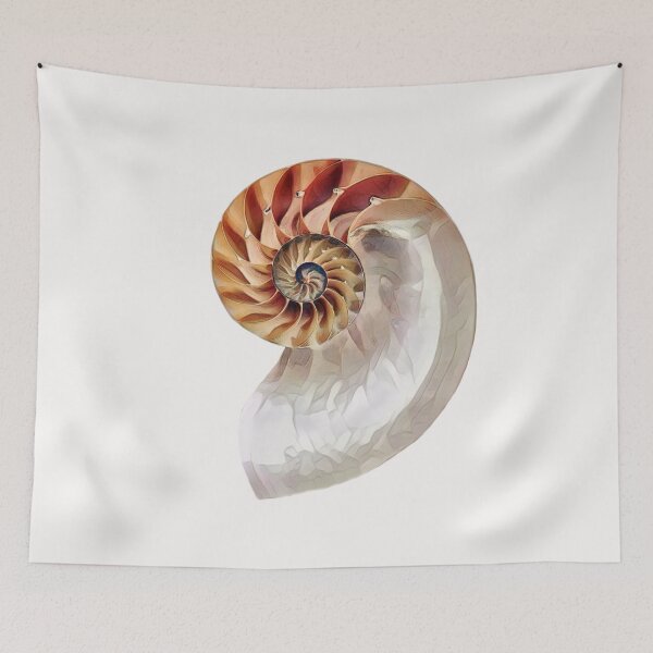 Item preview, Nautilus Shell Spiral Design designed and sold by Heathermarie321.