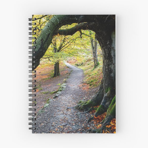 Item preview, Walk along Ullswater Lake with beautiful Autumn Colours designed and sold by Mark Liebenberg.