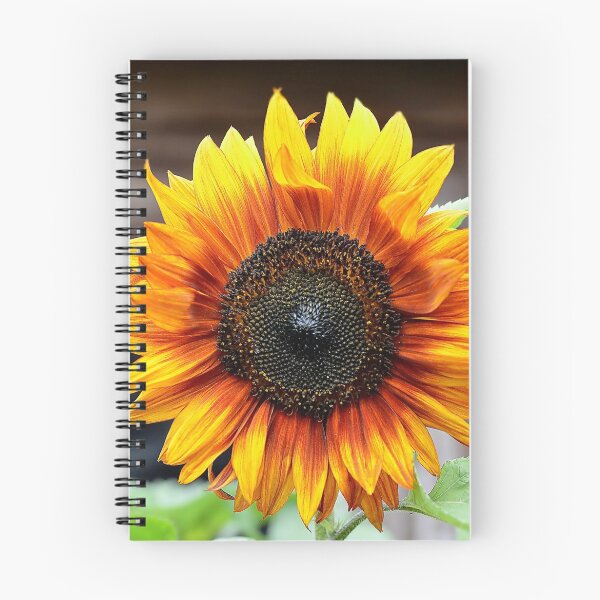 Item preview, Sunflower designed and sold by relayer51.
